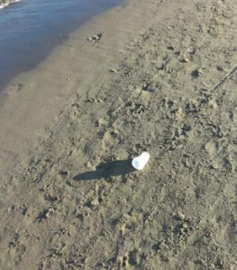 Spiaggia Della Feniglia景点图片