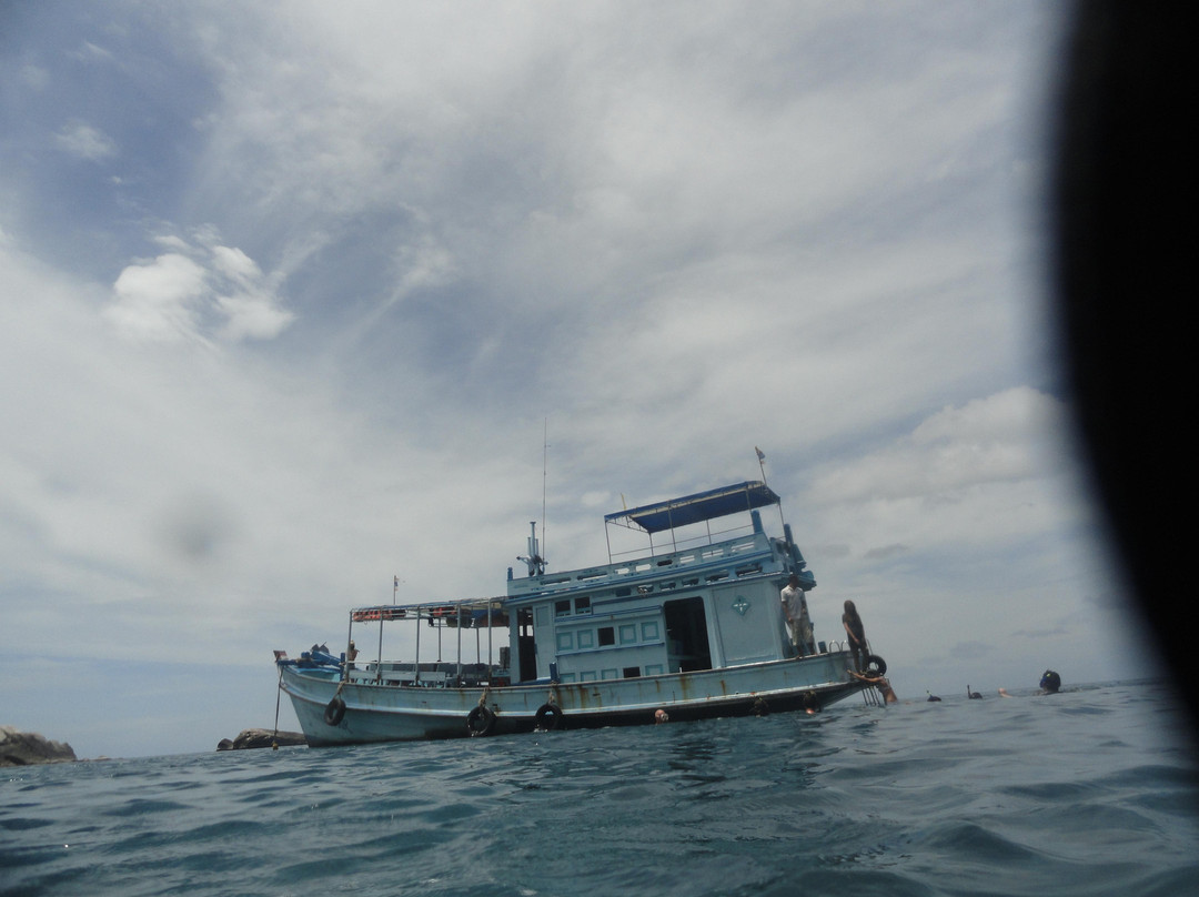 Diamond Tour - Day Tours-涛岛必去景点