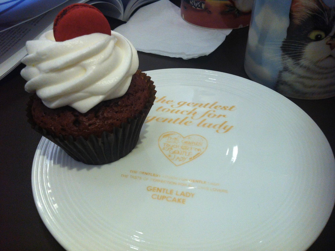 新沙洞林荫树路-首尔必去景点