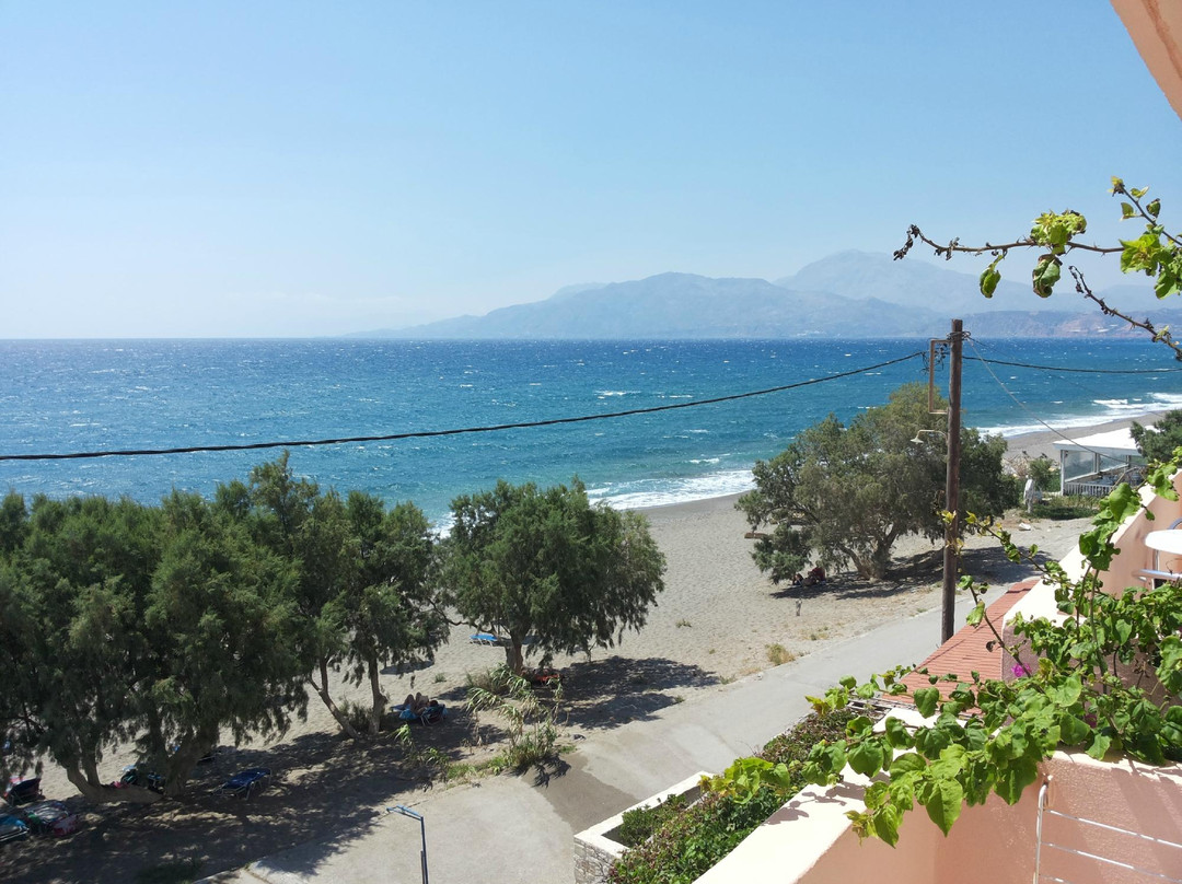 Alexander Beach Hotel主图