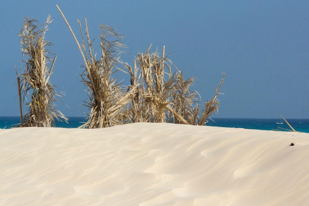 Aomak Beach景点图片