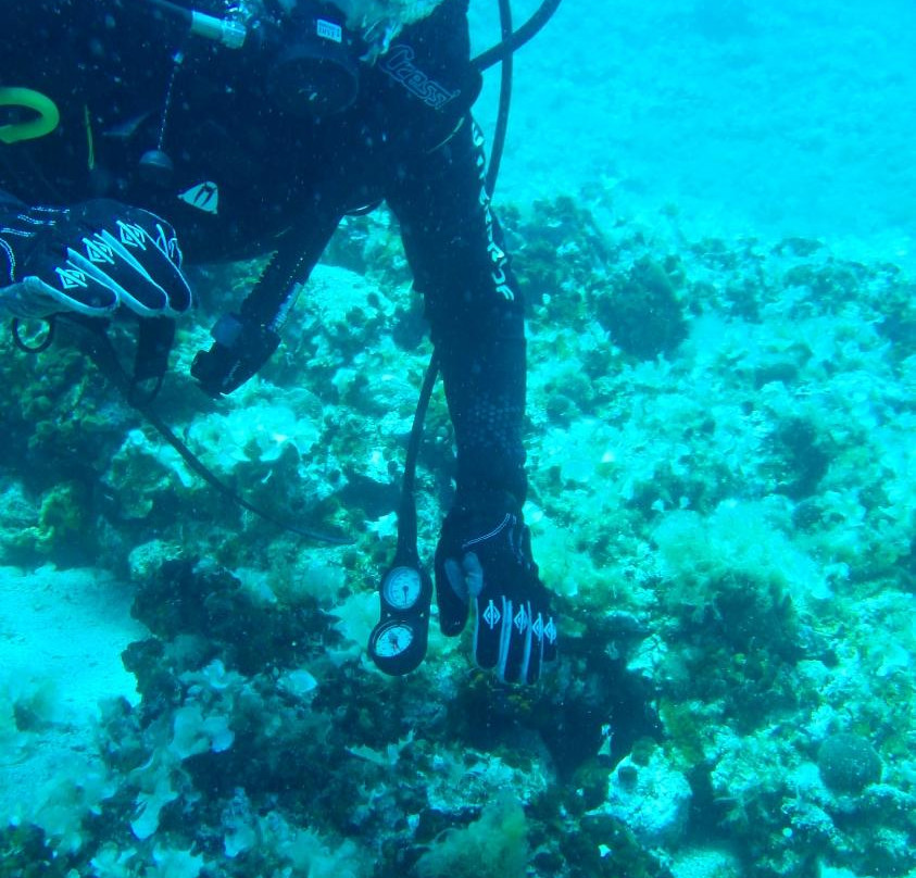 Ikion Diving Center景点图片