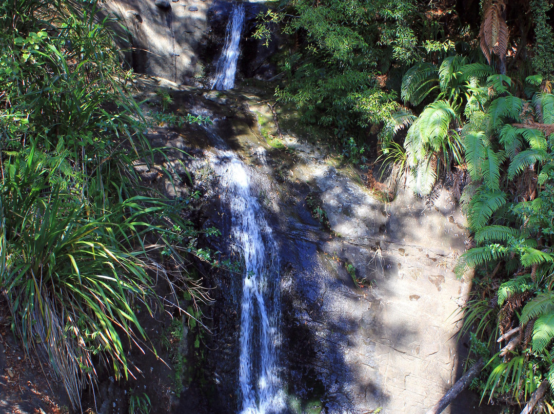 Fairy Falls-奥克兰必去景点
