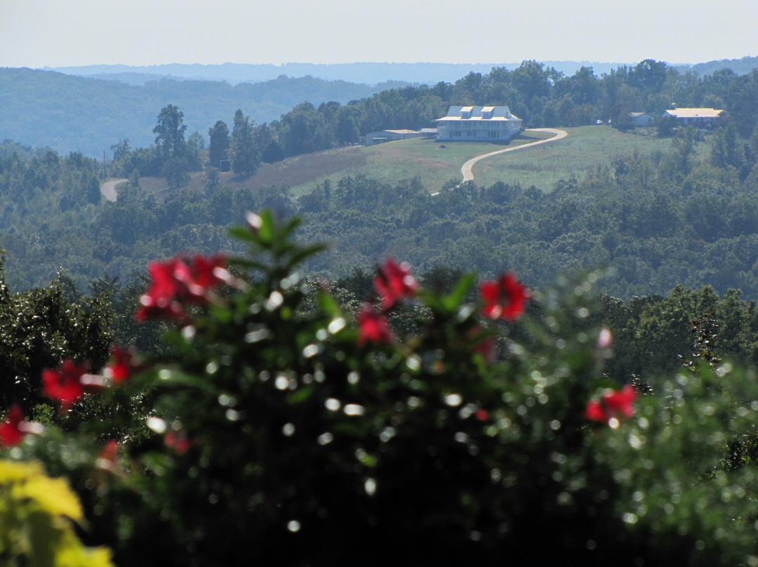 Helenbach Winehause & Candle Boutique-海伦必去景点