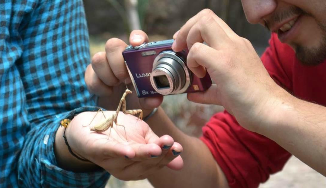 Museo Vivo-Malinalco必去景点
