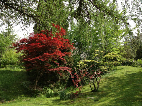 布达佩斯动植物园-布达佩斯必去景点