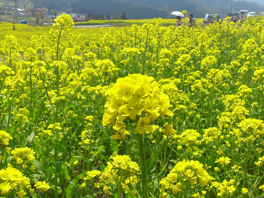 野泽温泉村旅游攻略图片