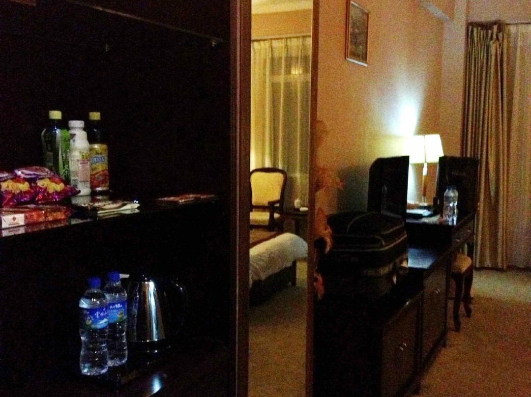 乐熙大酒店主图