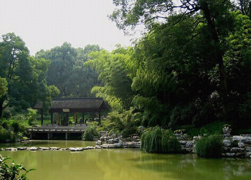 玉泉-杭州市必去景点