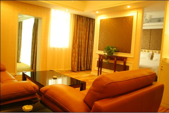 白天鹅国际酒店主图