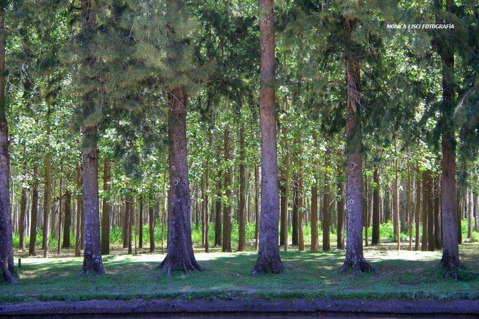 Sendero de Caminatas Arroyo Rama Negra-蒂格雷必去景点