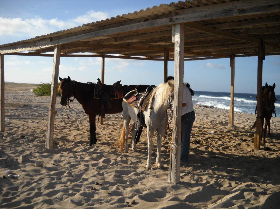 Rancho Notorious Aruba-Noord必去景点