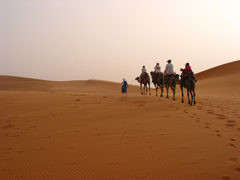 Zagora Experience-非斯必去景点