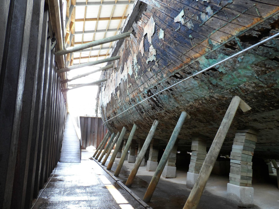 Edwin Fox Maritime Museum景点图片