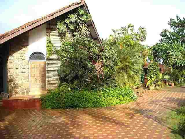 Weekend Nursery and Cottages