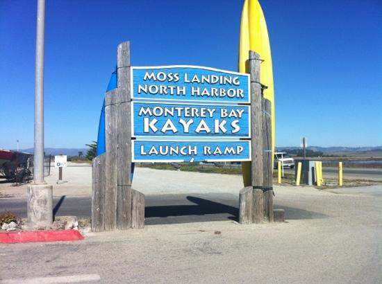 Monterey Bay Kayaks-蒙特雷必去景点