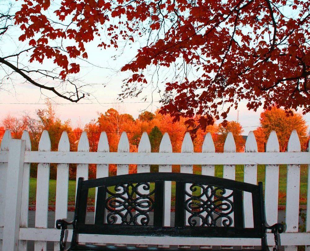 Willow House Bed and Breakfast主图