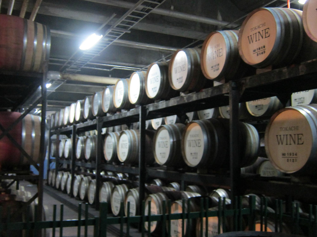 Ikeda Wine Castle-池田町必去景点