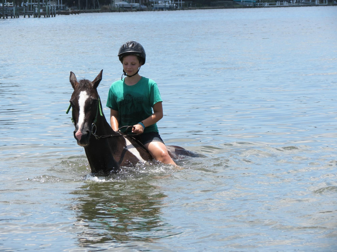 Sandy Hooves Horse Adventures-布雷登顿必去景点