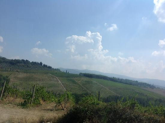 Enoteca Falorni-格雷韦伊恩基亚恩蒂必去景点