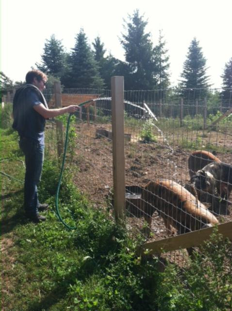 Hillside Homestead主图