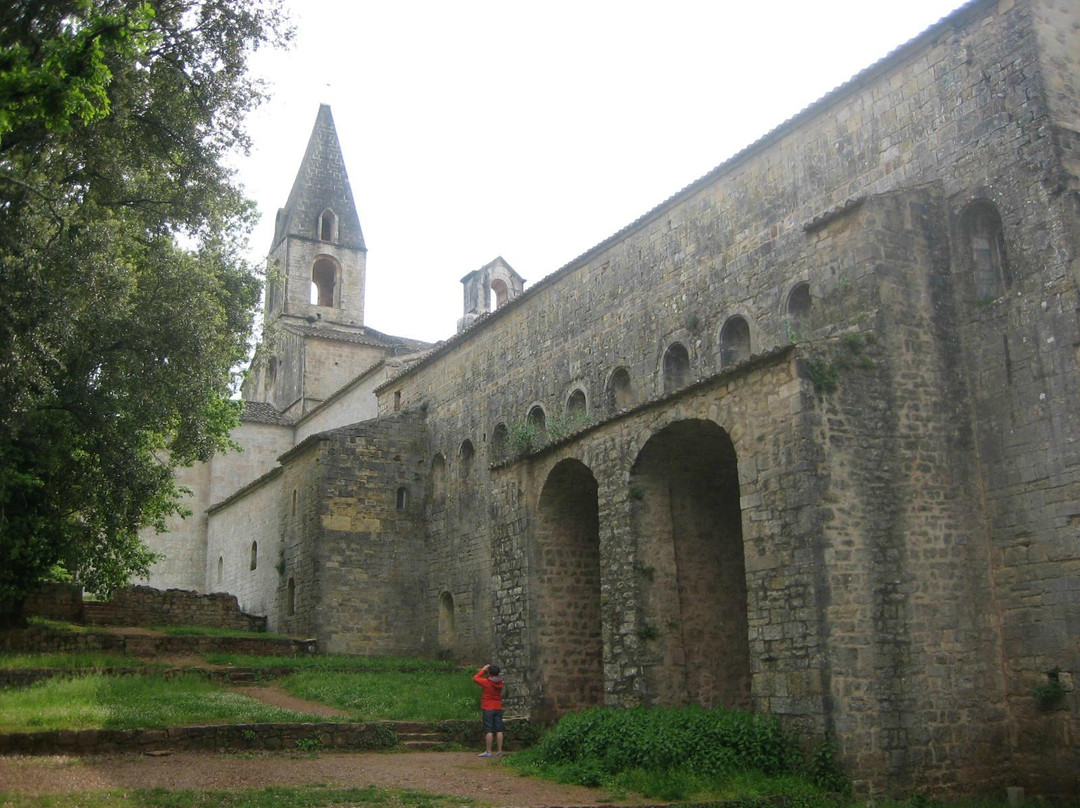 Abbaye du Thoronet景点图片