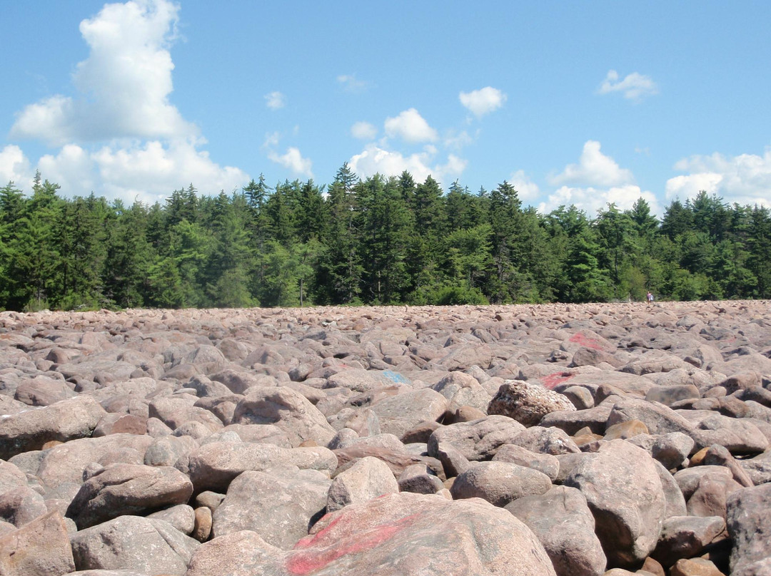 Boulder Field景点图片