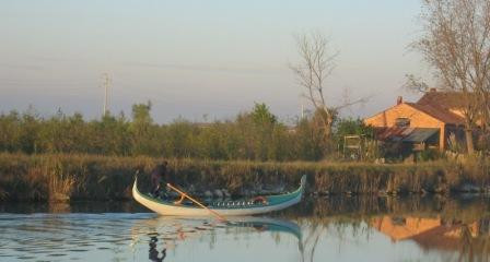 Limosa Guide Naturaliste-Marghera必去景点