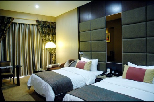 芜湖花园湖景西格国际酒店主图