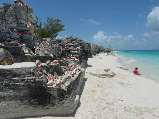 Provo Real Deal Day Tours-Turtle Cove必去景点