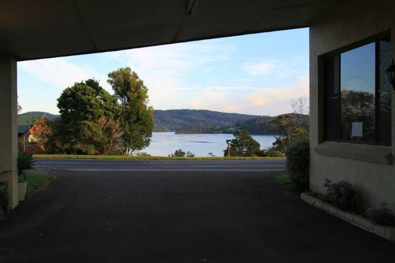 The Tree Motel主图