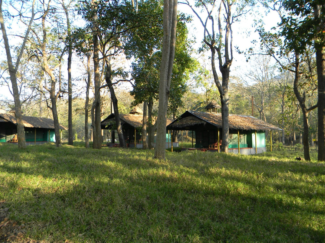 Parambikulam Tiger Reserve-Palakkad必去景点
