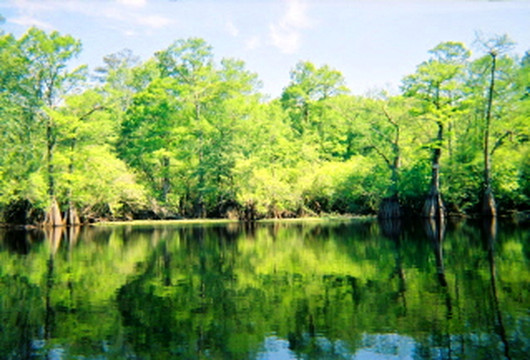 Backwater Expeditions-Rincon必去景点