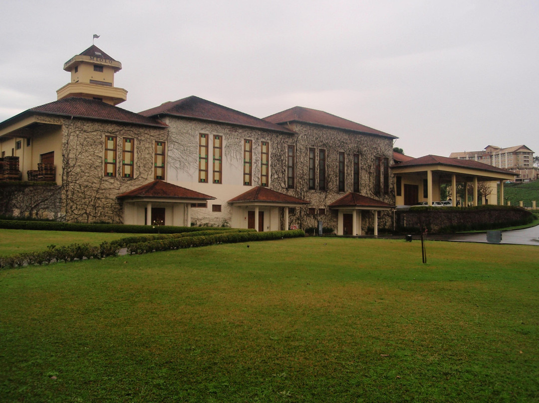 Miolo Wine Group-本图贡萨尔维斯必去景点