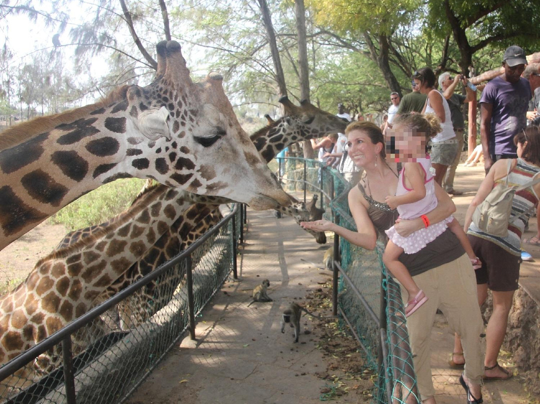 Haller Park-蒙巴萨必去景点