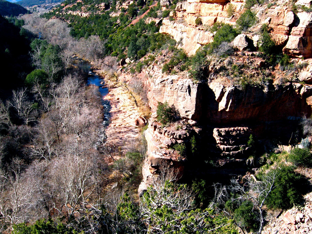 Coconino National Forest-弗拉格斯塔夫必去景点