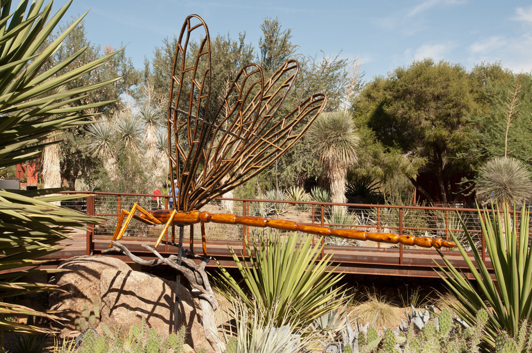 沙漠植物园-凤凰城必去景点