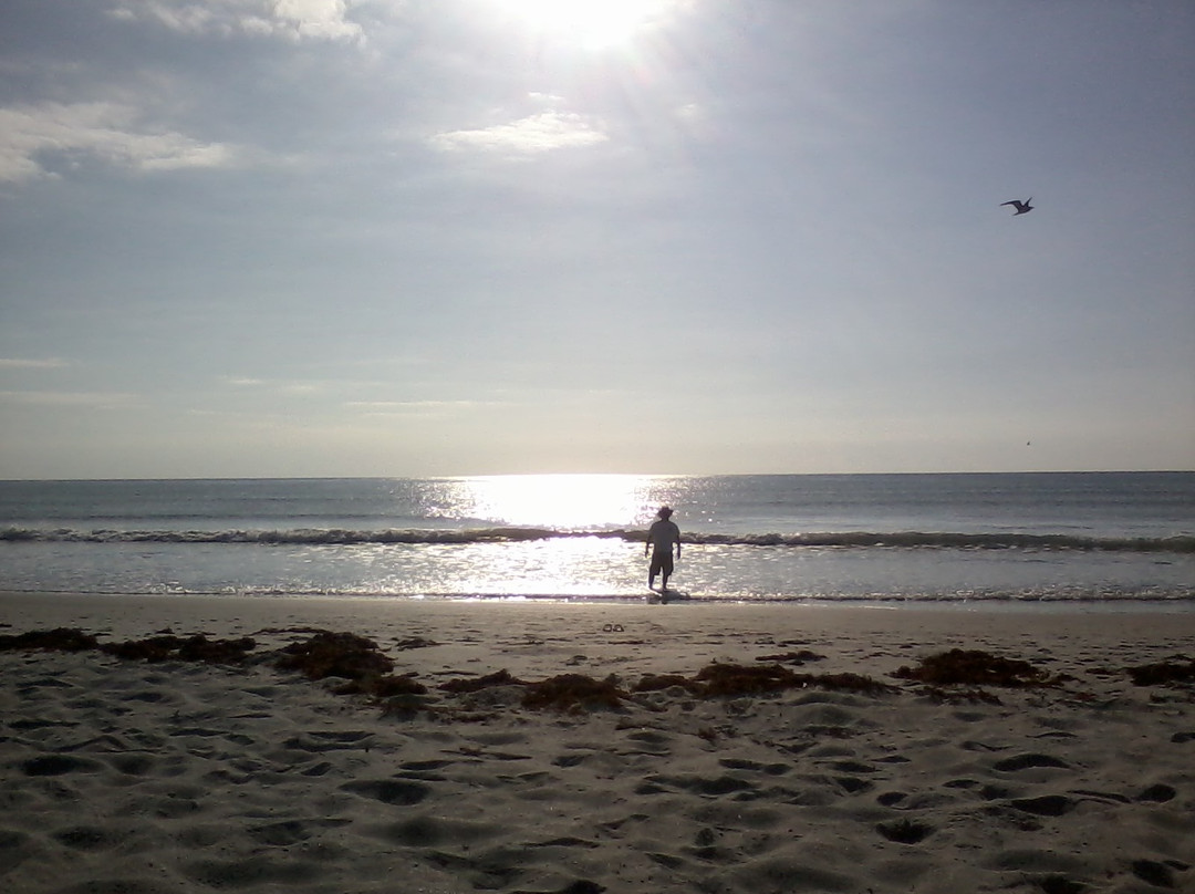 Cocoa Beach Pier景点图片