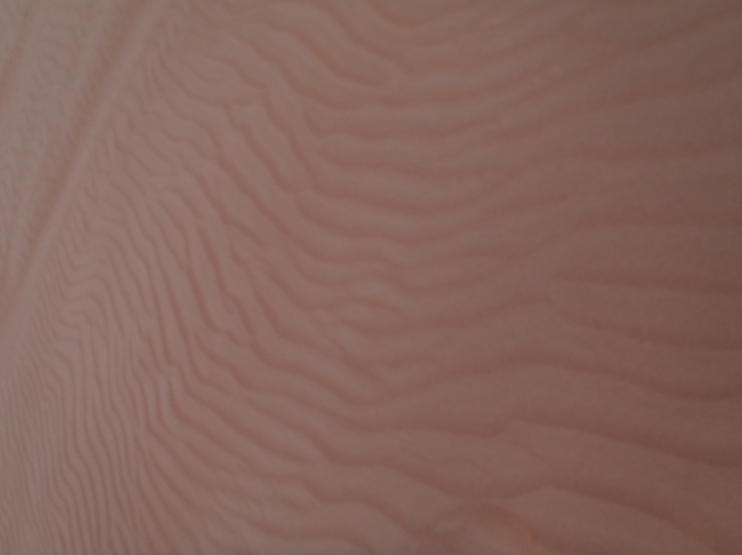 Desert Rangers-迪拜必去景点