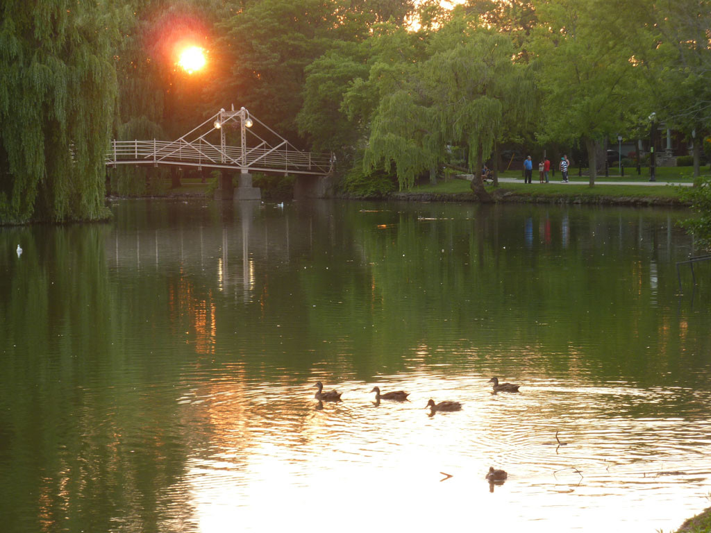 Victoria Park景点图片