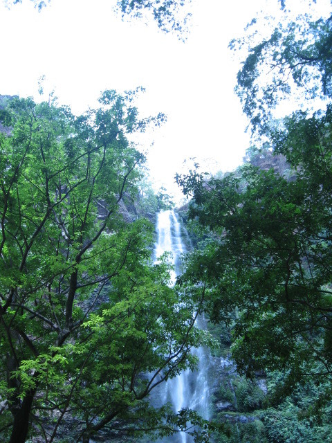 Wli Waterfalls-Afegame必去景点