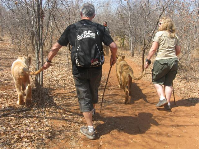 Mukuni Big 5 Safaris Limited-李文斯顿必去景点