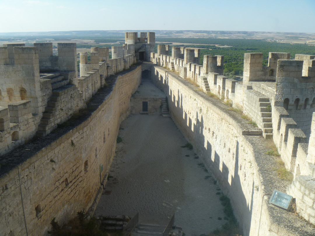 Museo Provincial del Vino景点图片