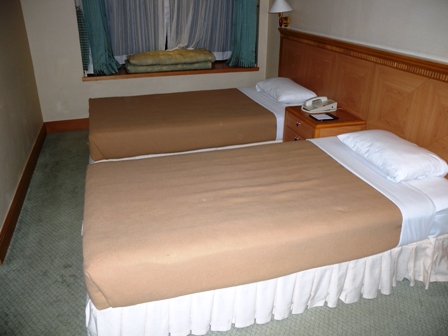 華美達盛景酒店-客卧