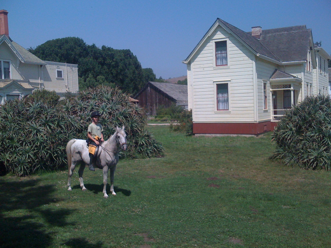 Wilder Ranch State Park-圣克鲁斯必去景点