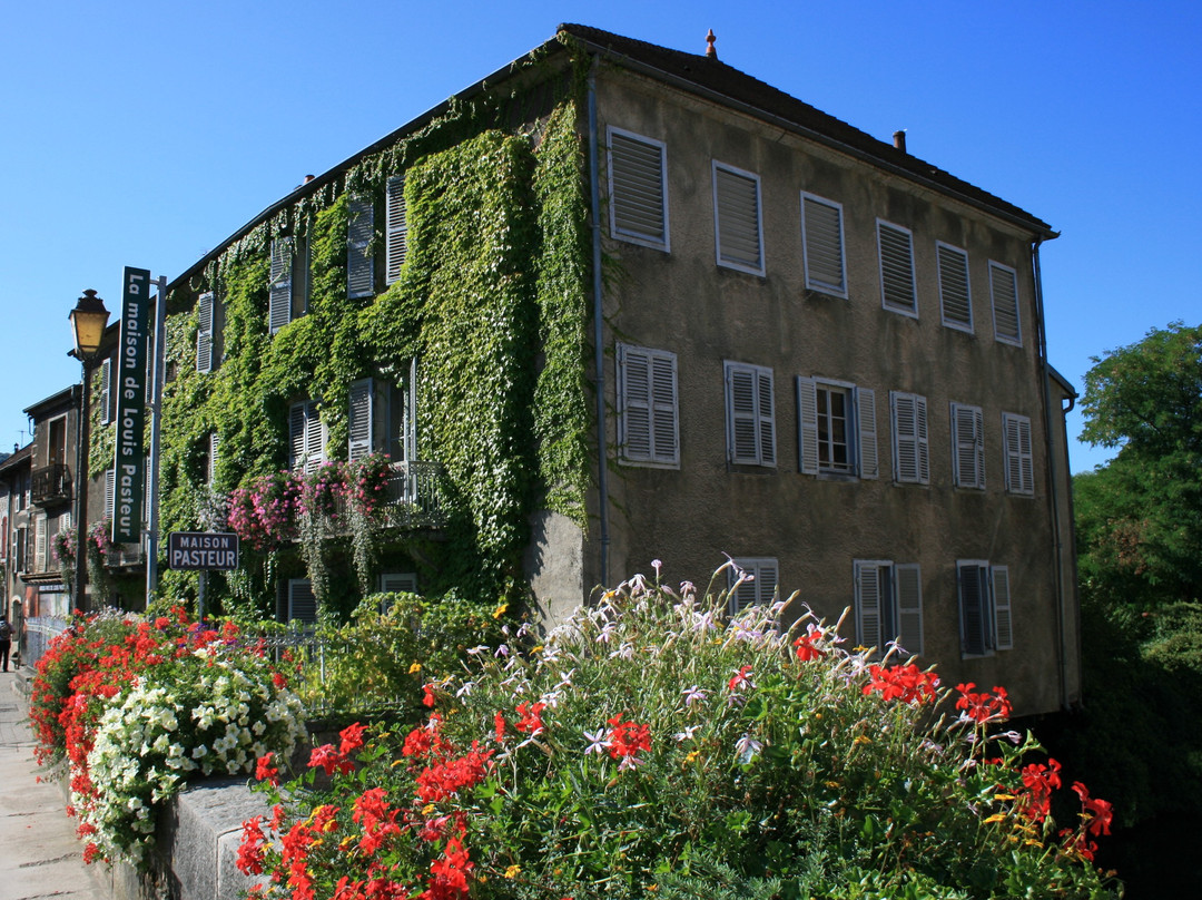 Maison de Louis Pasteur景点图片