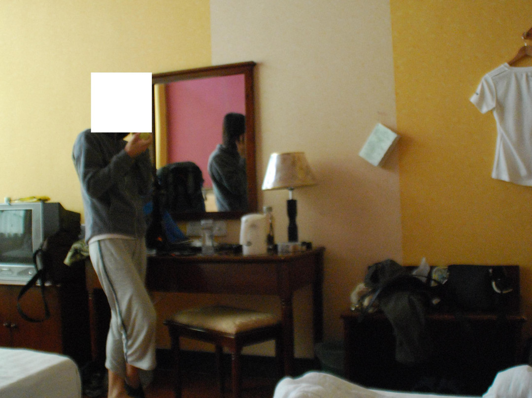 晶金隆大酒店主图