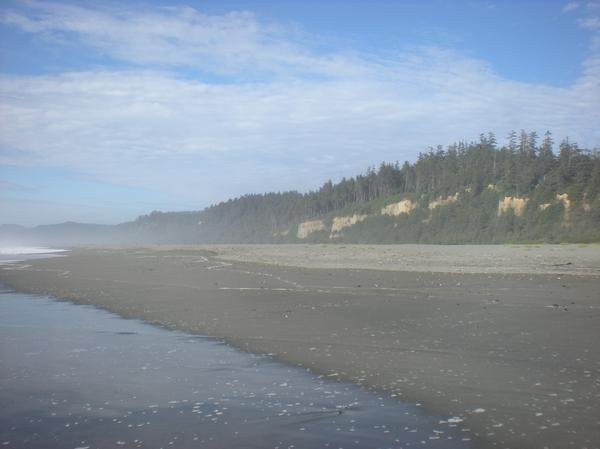 Mendocino Coast景点图片