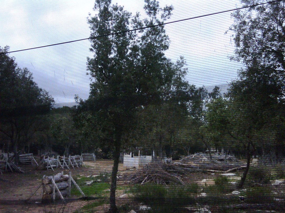 Paintball Fantasy Mallorca景点图片