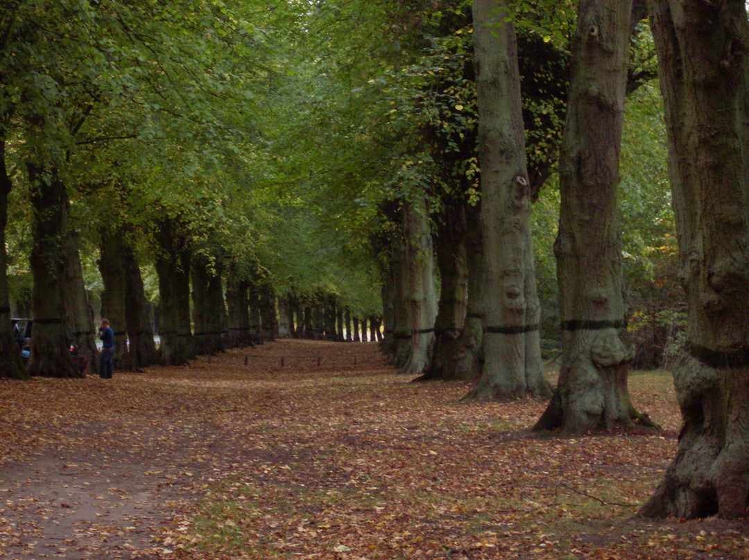 Clumber Park-沃克索普必去景点